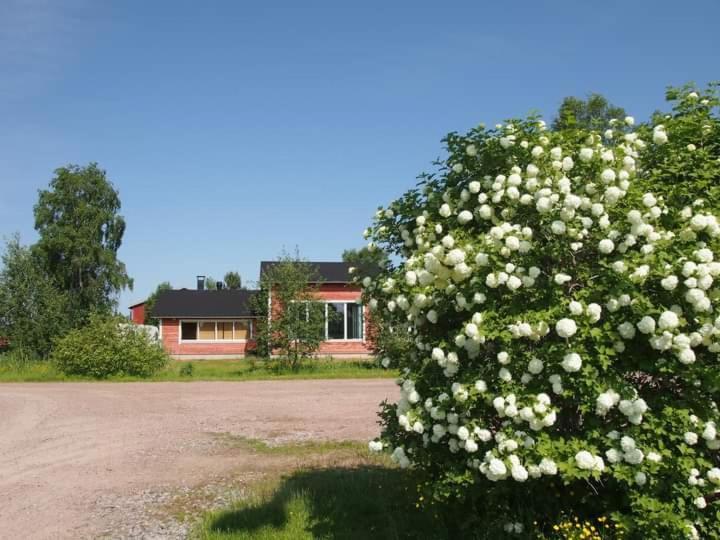 B&B Villa Helmi Ala-Temmes Екстериор снимка
